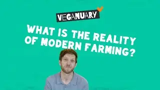 What is the reality of modern farming? | The Veganuary Challenge