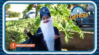 Water Wise Wendy Outdoor Tip #4 Use Your Broom