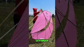 Detik Detik Layangan Pegon Jebol #layangan