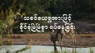 နေ့စဉ်ခွန်အား ၂၀၂၆ ခုနှစ်၊ ဇန်နဝါရီလ  ၂၉  ရက်