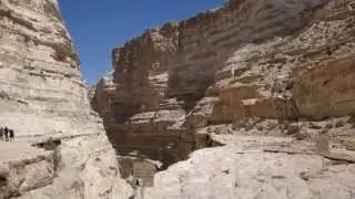 Israel, National Park Ein Avdat. Part 1.   Израиль, Национальный парк Эйн Авдат. Часть 1.