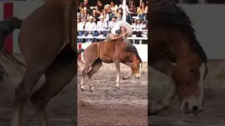 jineteada de yegua #shorts #short #shortvideo #shortsfeed
