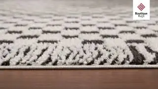 Leryn Black & White Checkered Area Rug