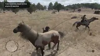 Red dead redemption 1 first playthrough part 2