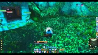 Arena - Restoration Druid : Addons! ( LINK TO 5.4 TALENTS AND GLYPHS IN VIDEO)