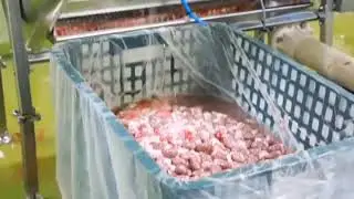 Chicken export other areas