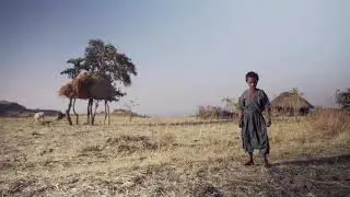 Wild Wheelchairs Project - Short Overview