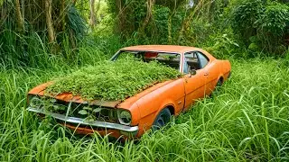Uncovering Abandoned American Muscle Cars Frozen in Time!