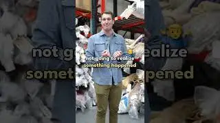 Identifying A Moth Infestation