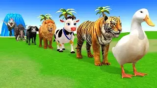Long Slide Game With Cow Elephant Gorilla Hippopotamus Tiger 3d Animal Game Funny 3d Animals