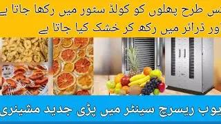 Fruit Drying & Cold Storage Technology at Ayub Agriculture Research Center | Grapes Coating 