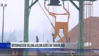 Weyerhaeuser selling Montana timberlands