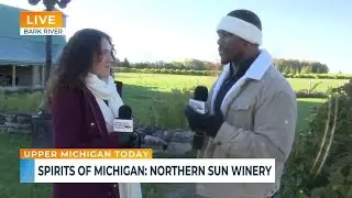 Upper Michigan Today - Northern Sun Winery