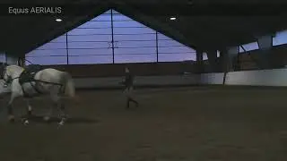 Lungeing Pop-Corn using Equiband and the Equibodybalance concept