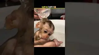 #banku