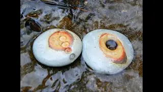 Fred and Sarah Swan Memory Stones Travels