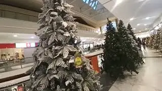 Christmas trees in Tbilisi: From tiny tabletop ones to big fancy trees—find your perfect match!