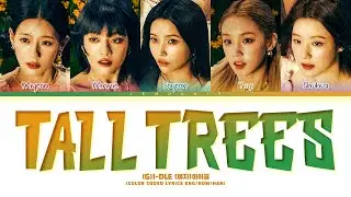 (G)I-DLE 'Tall Trees' Lyrics (Color Coded Lyrics)
