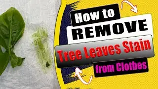 How to Remove Leaf Stains from Clothes | Easy DIY leaf stain removal techniques