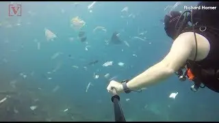 Diver Films Himself Swimming in Plastic Waste Devastating the Waters Near Bali