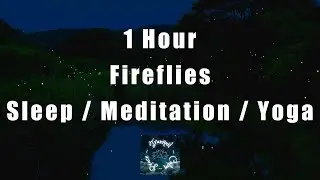Nighttime Firefly Calm: 1-Hour Relaxing Nature Sounds for #Sleep, #Study, #Ambience and #EveningYoga