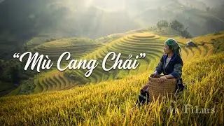 Mu Cang Chai: The best Rice Step Field in Vietnam - 4K Video
