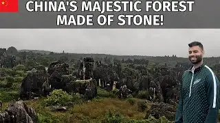 Unbelievable Stone Forest of Kunming! 🇨🇳 Nature&rsquo;s Magic in China | Hindi/Urdu Vlog