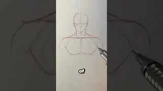 How to draw chest and shoulders || Jmarron