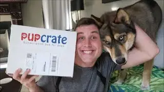 PupCrate Unboxing | March 2016