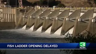 'Water management issue' causes delay for Nimbus Fish Hatchery salmon ladder
