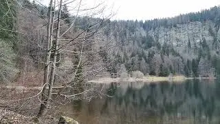 Feldsee
