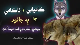 Sindhi Motivational Speech | Why is Failure and Success Important? By Syed Ali Waqar