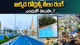 Reason Behind Blue Color Road in Qatar | Blue Road Secret? | SumanTV Telugu