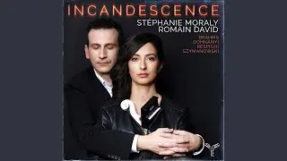 Sonata for Violin and Piano in B Minor, P. 110: I. Moderato