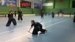 Two swords form ofJinyoung Ssangkum Ryu in Finland