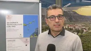 Mario Malacarne, Centro Trasferimento Tecnologico FEM