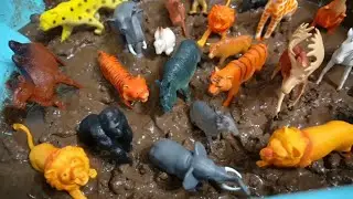 Kids Playtime with Animal Toys  | Toy Show, Learning Numbers & Colors | Fun, Cute & Educational Toys