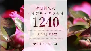 バイブル・エッセイ 1240「『天の国』の希望」（聖書朗読とミサ説教：片柳弘史神父）