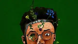 Raph IS Rough, P.I (Princely) - Garden Ferns