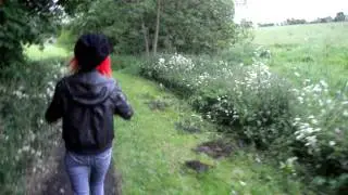 Scottish Comentarty