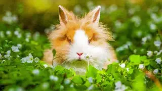 Успокаивающая музыка лечит сердце и успокаивает нервную систему 🍀 Музыка для души и расслабления #69