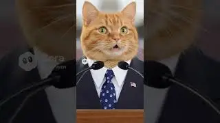 Мистер Уискерс принимает присягу! 🐱 #кот #президент #смешно #америка #котёнок