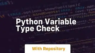 python variable type check