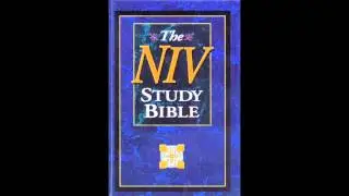 The Book of Esther (NIV Audio Bible Non Dramatized)