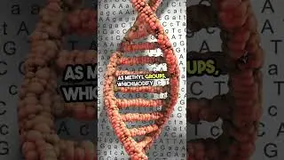 Can Emotions Change Your DNA? The Science of Epigenetics Explained