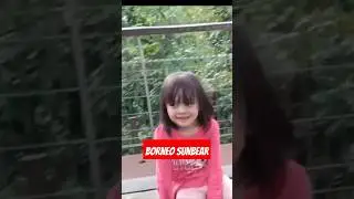 Borneo sunbear conservation centre