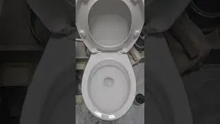 Cleaned the toilet 🚽 #shotrs