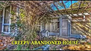 Exploring Sydney's ABANDONED Homes | What Business were these People Into??