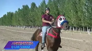 BELLA LUNA STUD LOS JS JOCKEY JESUS SOLORSA HIPICO LOS AMIGOS GOUDGE 18-1-26