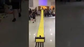Pack 158 pinewood derby 2017